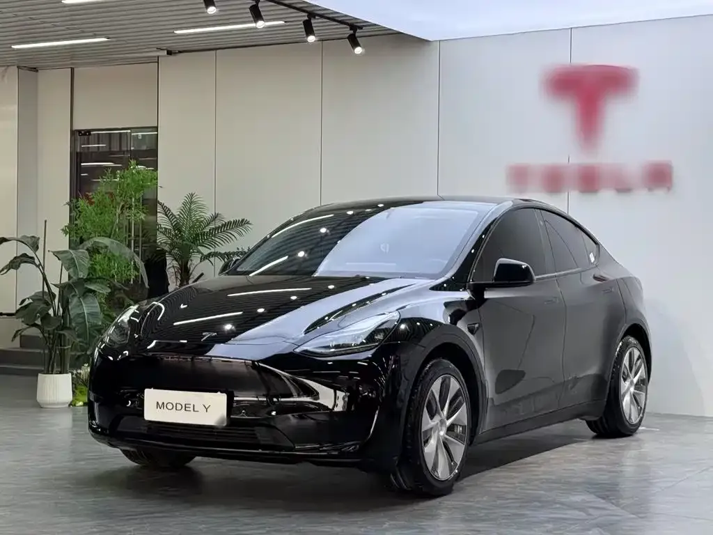 Tesla Model Y — фото 5