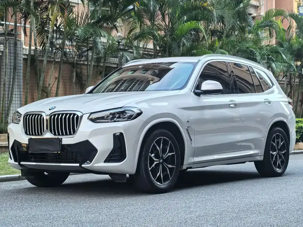 BMW X3 — фото 1