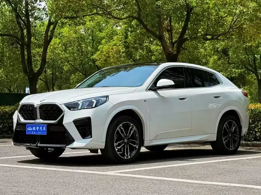 BMW X2 (Import) — фото 1