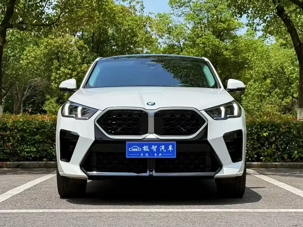 BMW X2 (Import) — фото 2