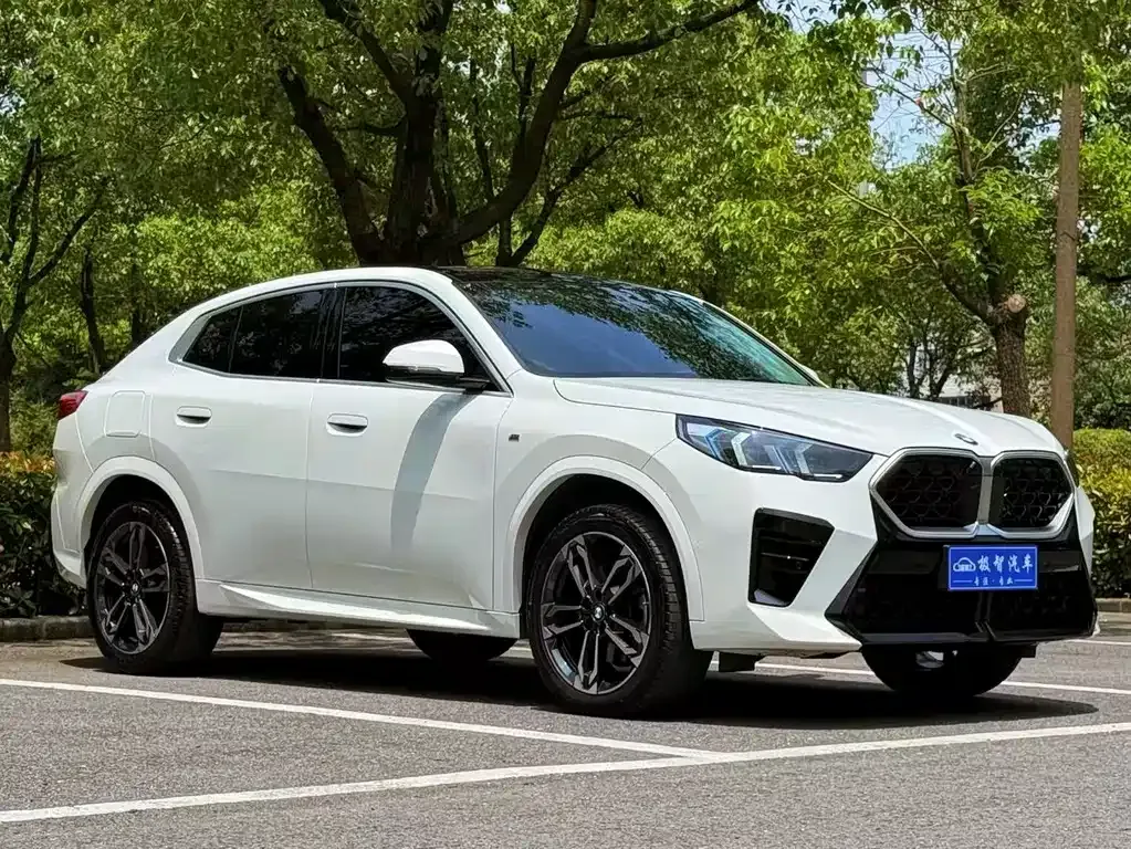 BMW X2 (Import) — фото 4