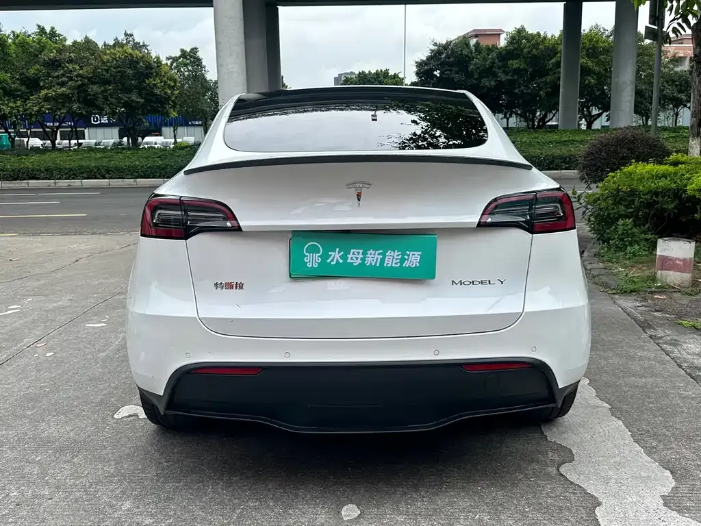 Tesla Model Y — фото 5