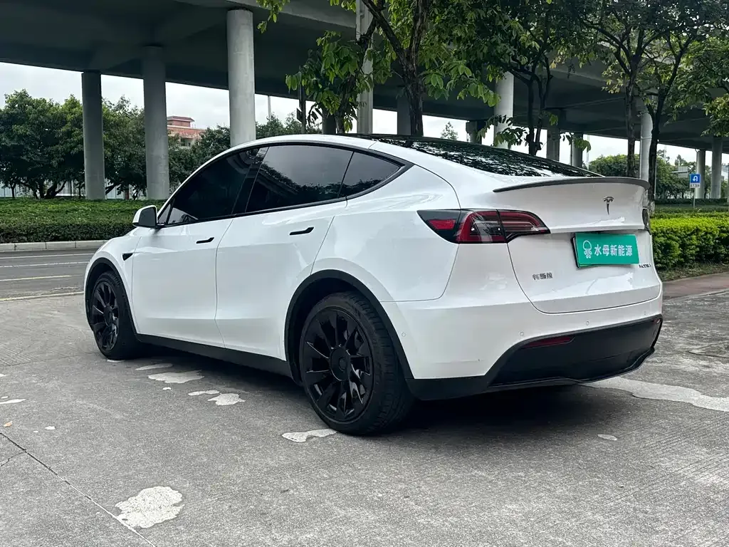 Tesla Model Y — фото 4
