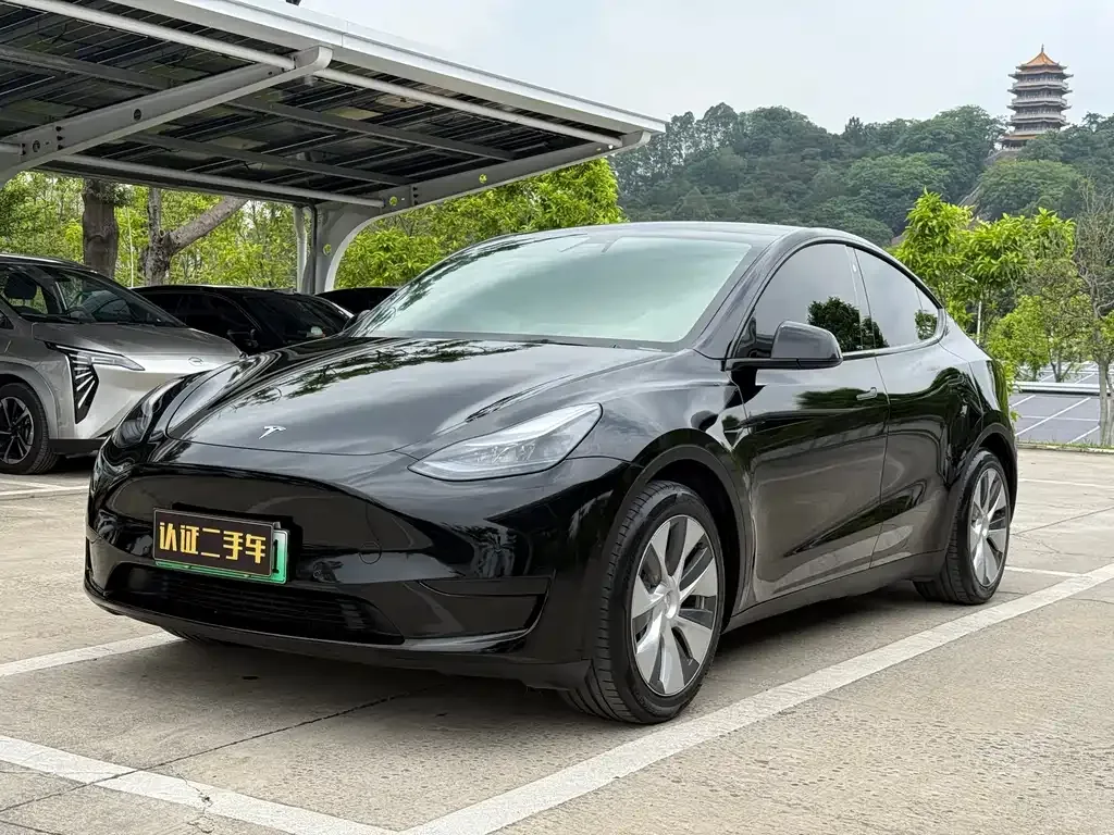 Tesla Model Y — фото 1