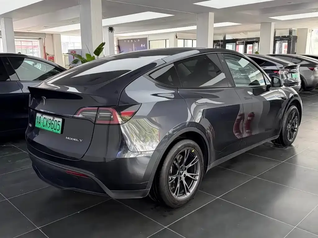 Tesla Model Y — фото 10