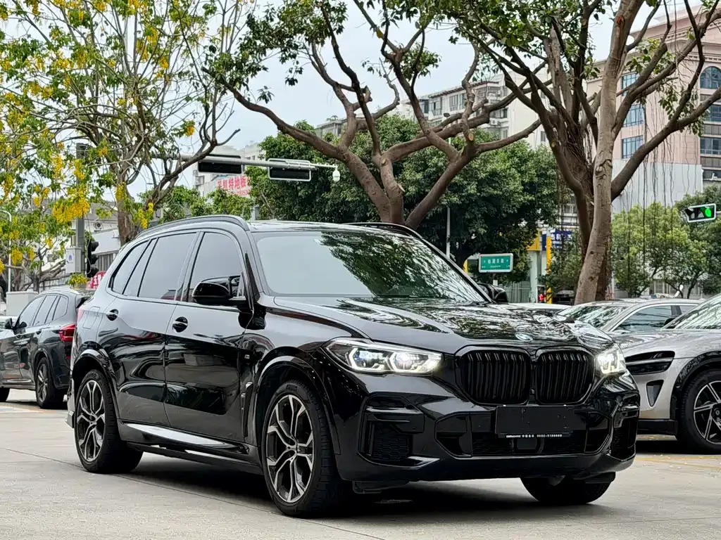 BMW X5 — фото 1