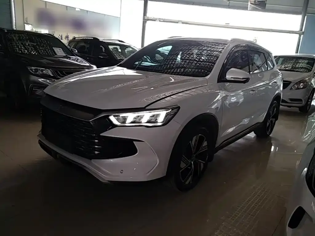BYD Pro New Energy — фото 6