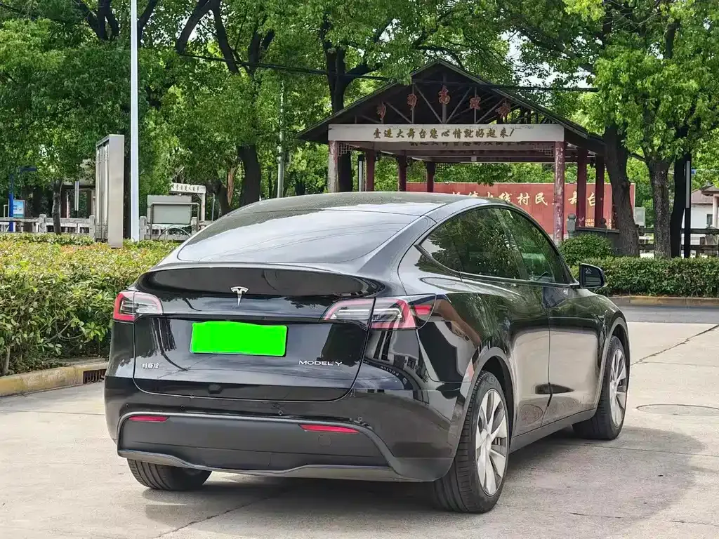 Tesla Model Y — фото 2