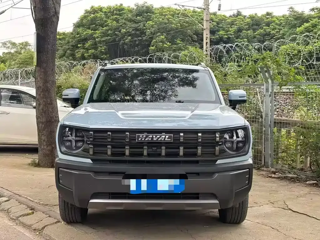 Haval Cool Dog — фото 6