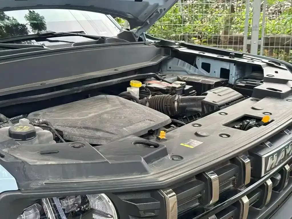 Haval Cool Dog — фото 1