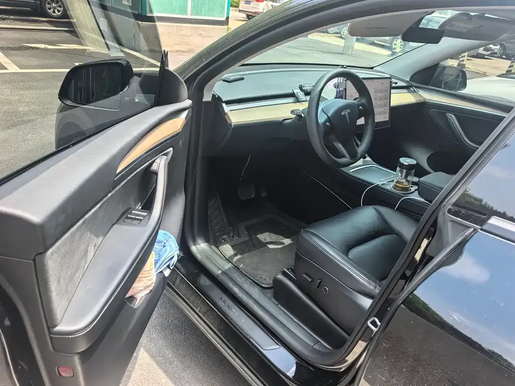 Tesla Model Y — фото 6