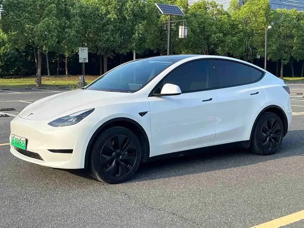 Tesla Model Y — фото 1