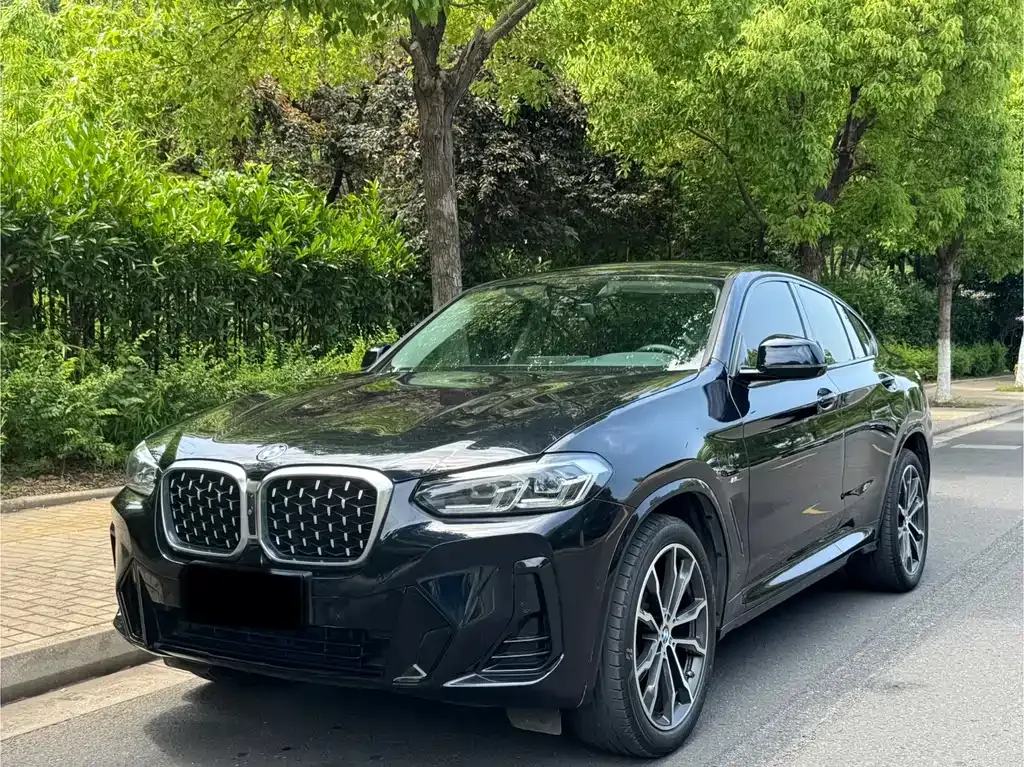 BMW X4 — фото 1