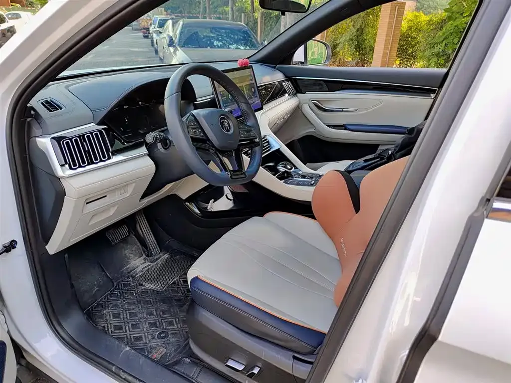 BYD PLUS New Energy — фото 10