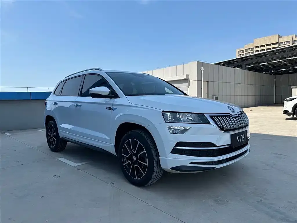 Skoda Karoq — фото 5