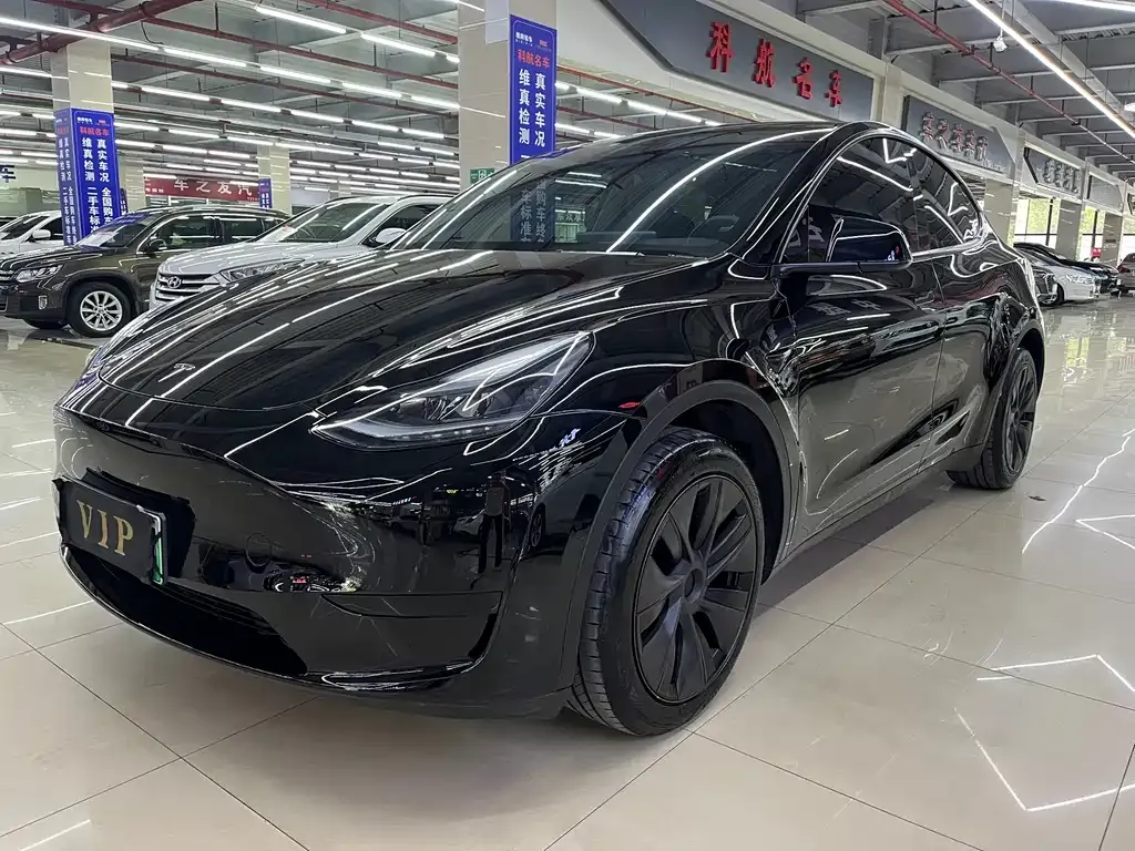 Tesla Model Y — фото 1