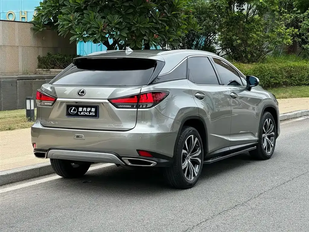Lexus RX — фото 8