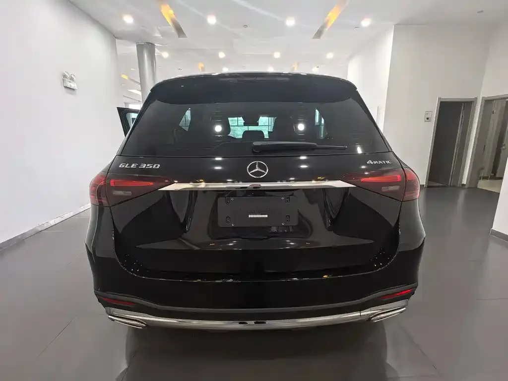 Mercedes-Benz 奔驰GLE(进口) — фото 2