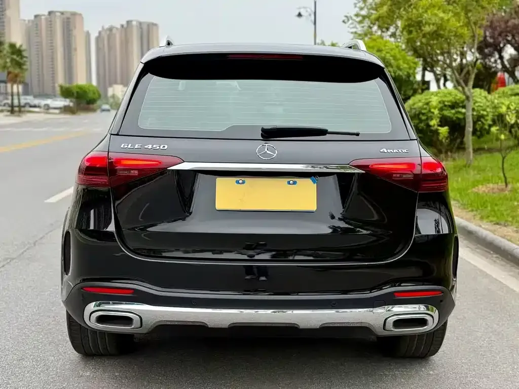Mercedes-Benz 奔驰GLE(进口) — фото 6