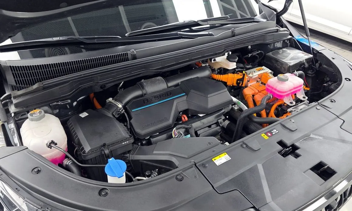 Kia Carnival — фото 10