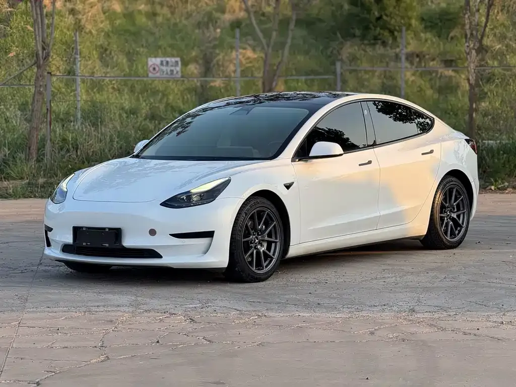 Tesla Model 3 — фото 1