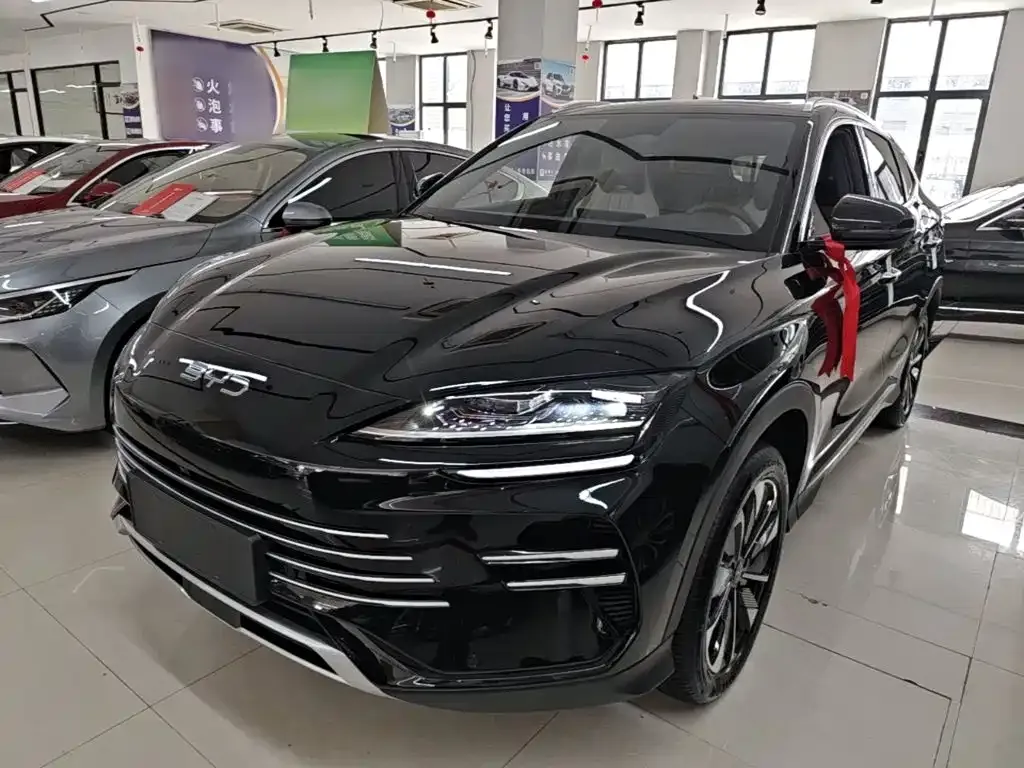 BYD PLUS New Energy — фото 9