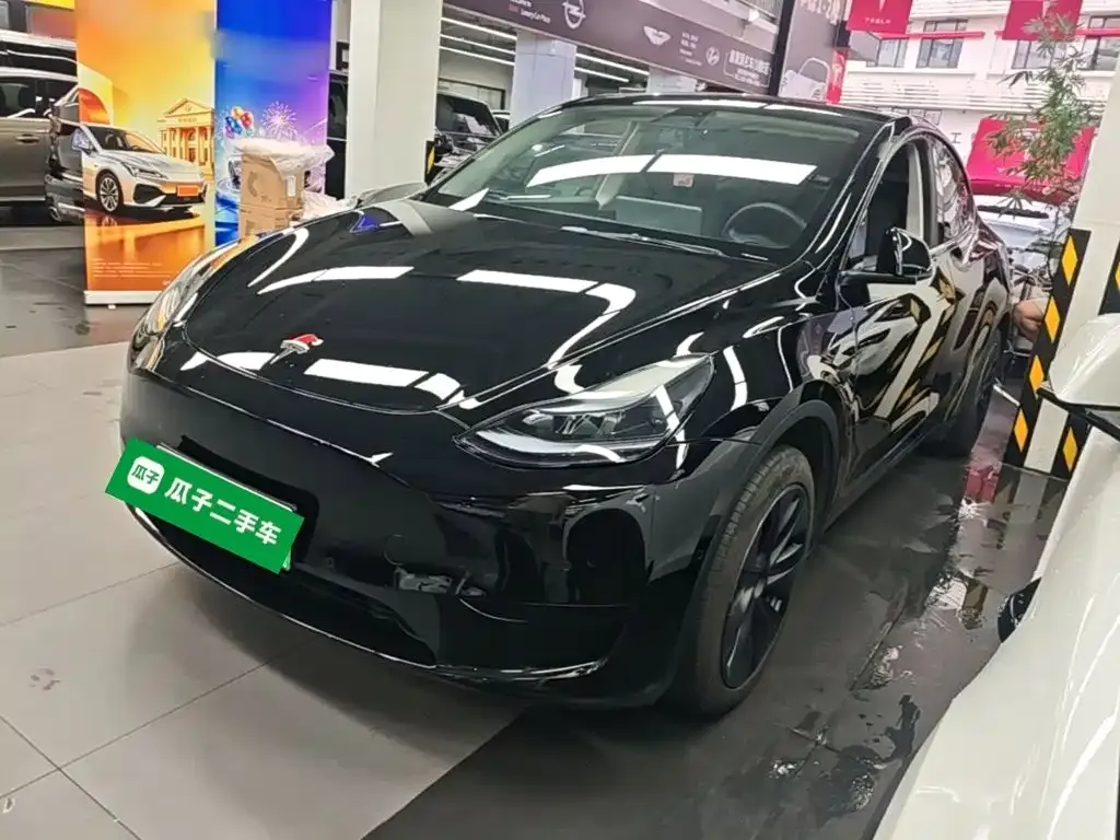 Tesla Model Y — фото 10