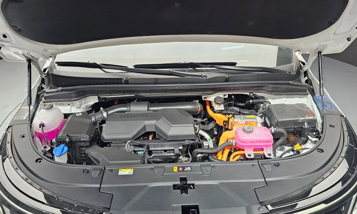 Kia Carnival — фото 10