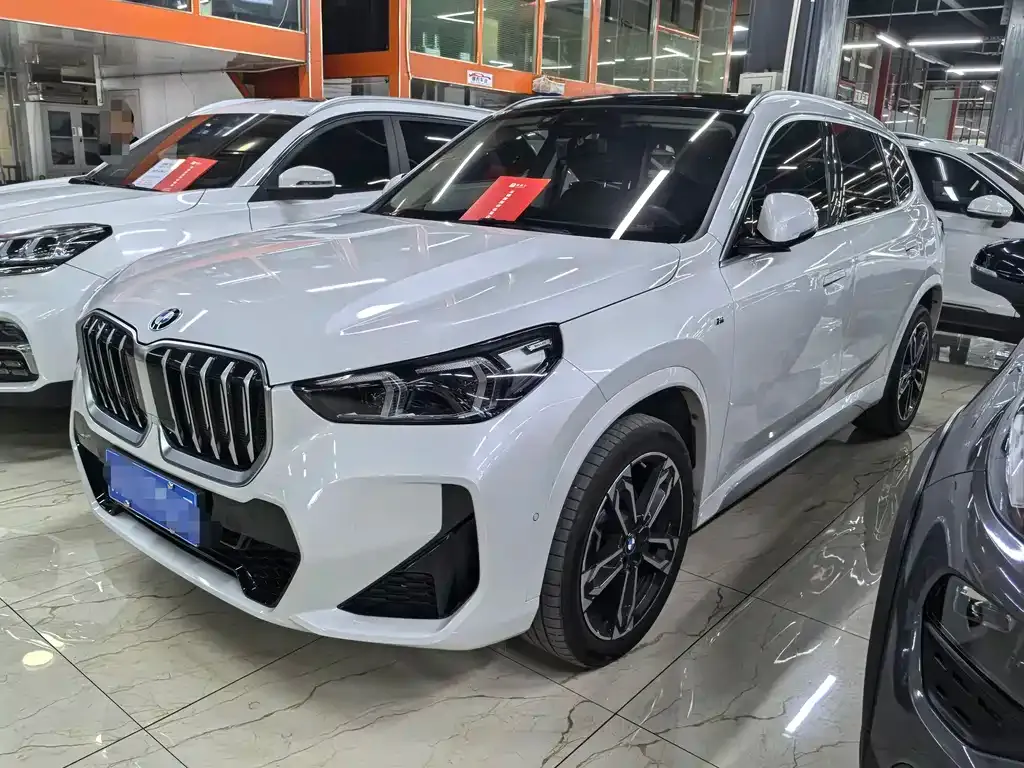 BMW X1 — фото 1