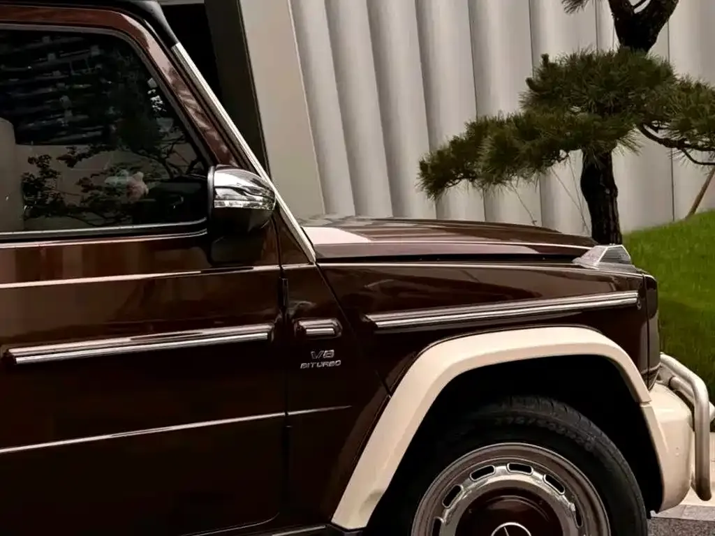 Mercedes-Benz G-Class AMG — фото 6