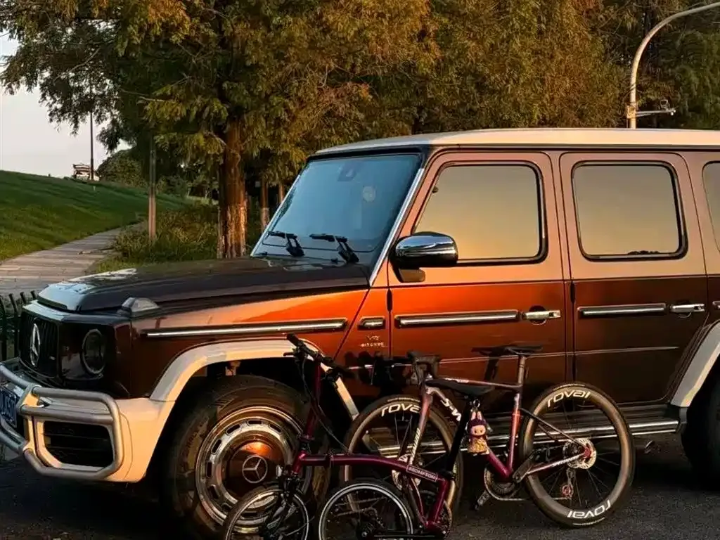 Mercedes-Benz G-Class AMG — фото 8
