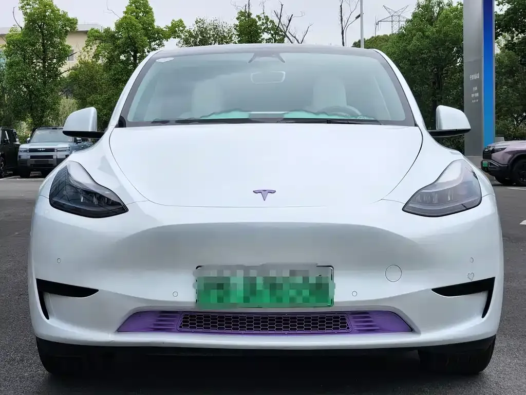 Tesla Model Y — фото 5