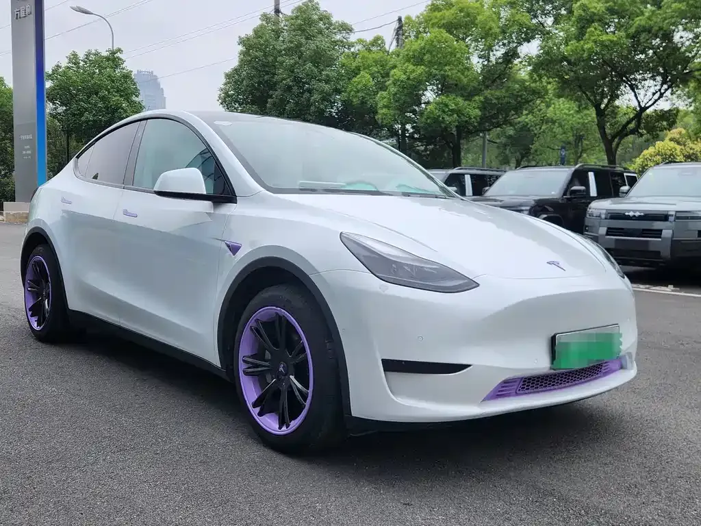 Tesla Model Y — фото 10