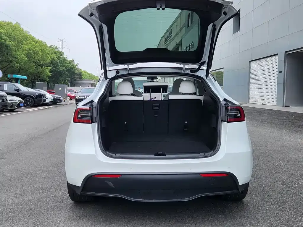Tesla Model Y — фото 8