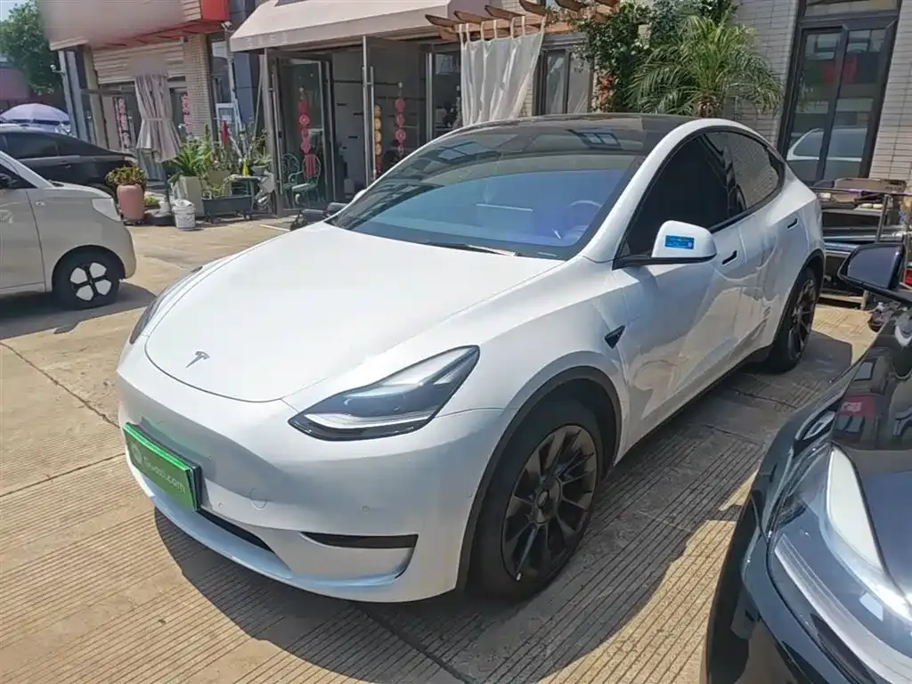 Tesla Model Y — фото 8