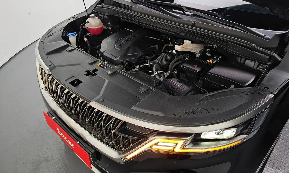 Kia Carnival — фото 10