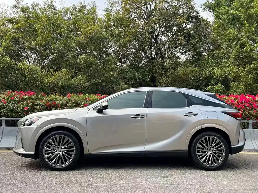 Lexus RX — фото 10