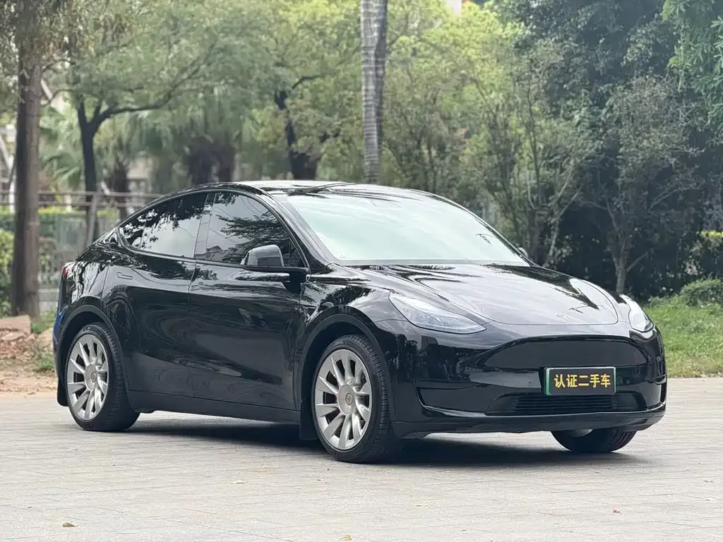 Tesla Model Y — фото 10
