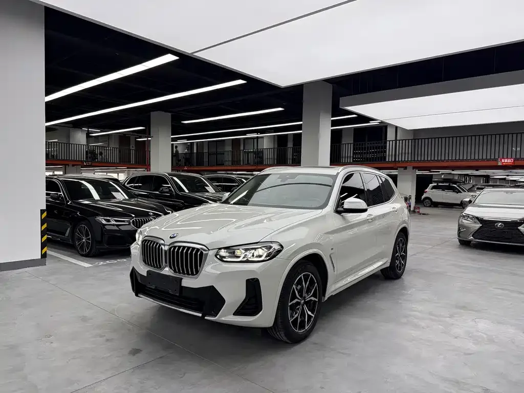 BMW X3 — фото 1