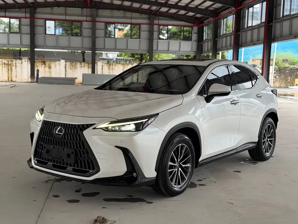 Lexus NX New Energy — фото 1