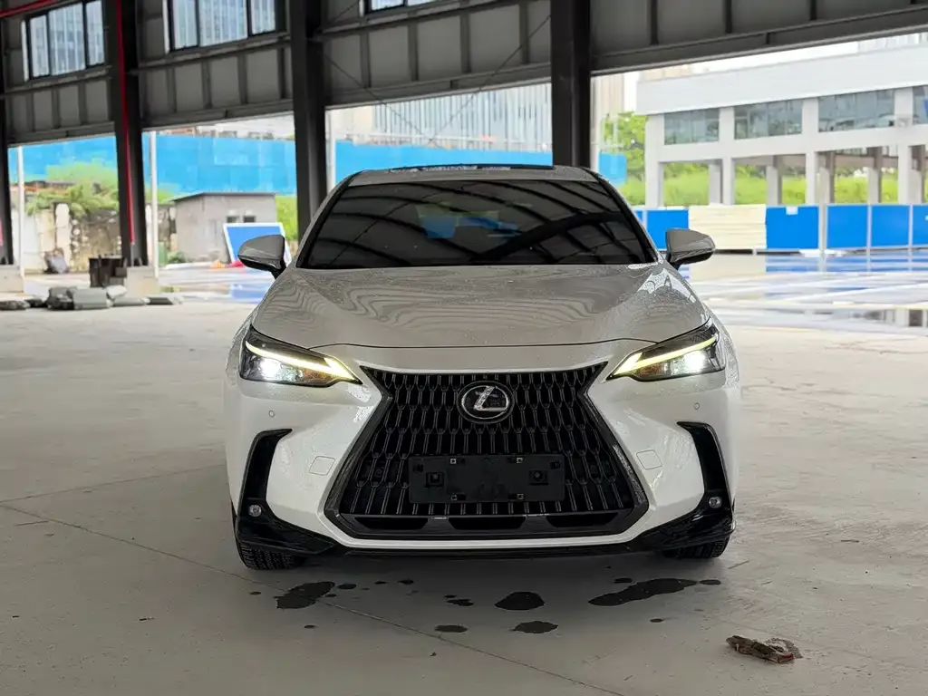 Lexus NX New Energy — фото 10