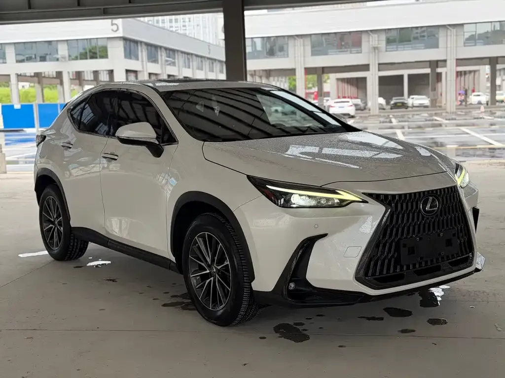 Lexus NX New Energy — фото 2