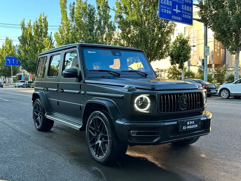 Mercedes-Benz G-Class AMG — фото 10