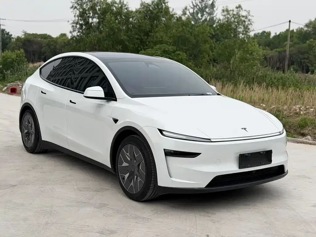 Tesla Model Y L — фото 1