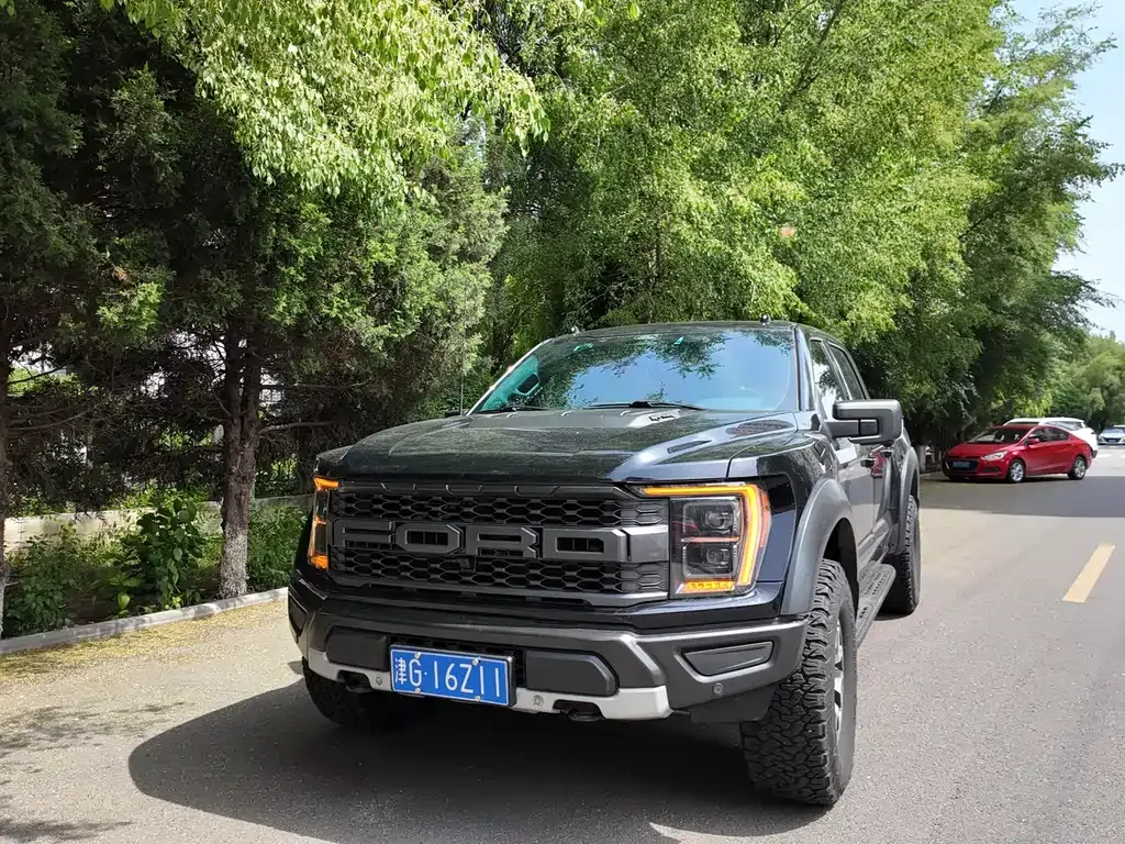 Ford F-150 Raptor — фото 1