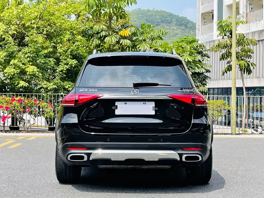 Mercedes-Benz GLE (Import) — фото 6