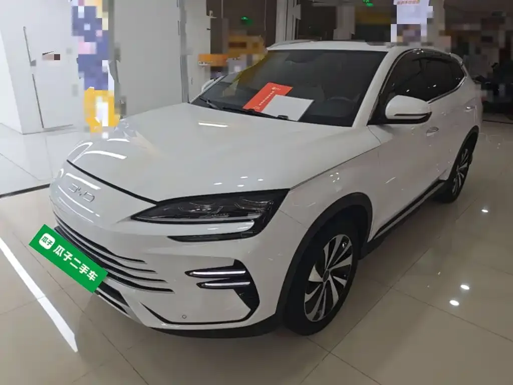 BYD PLUS New Energy — фото 1