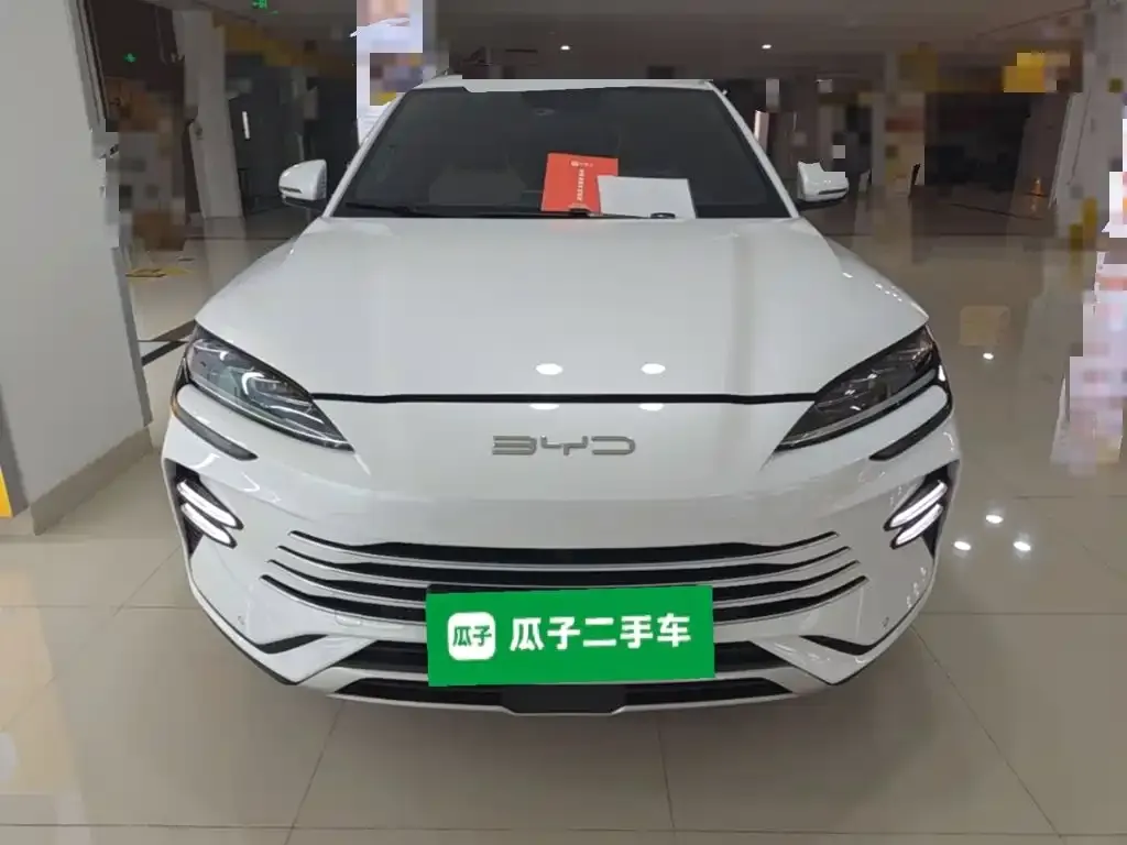 BYD PLUS New Energy — фото 4