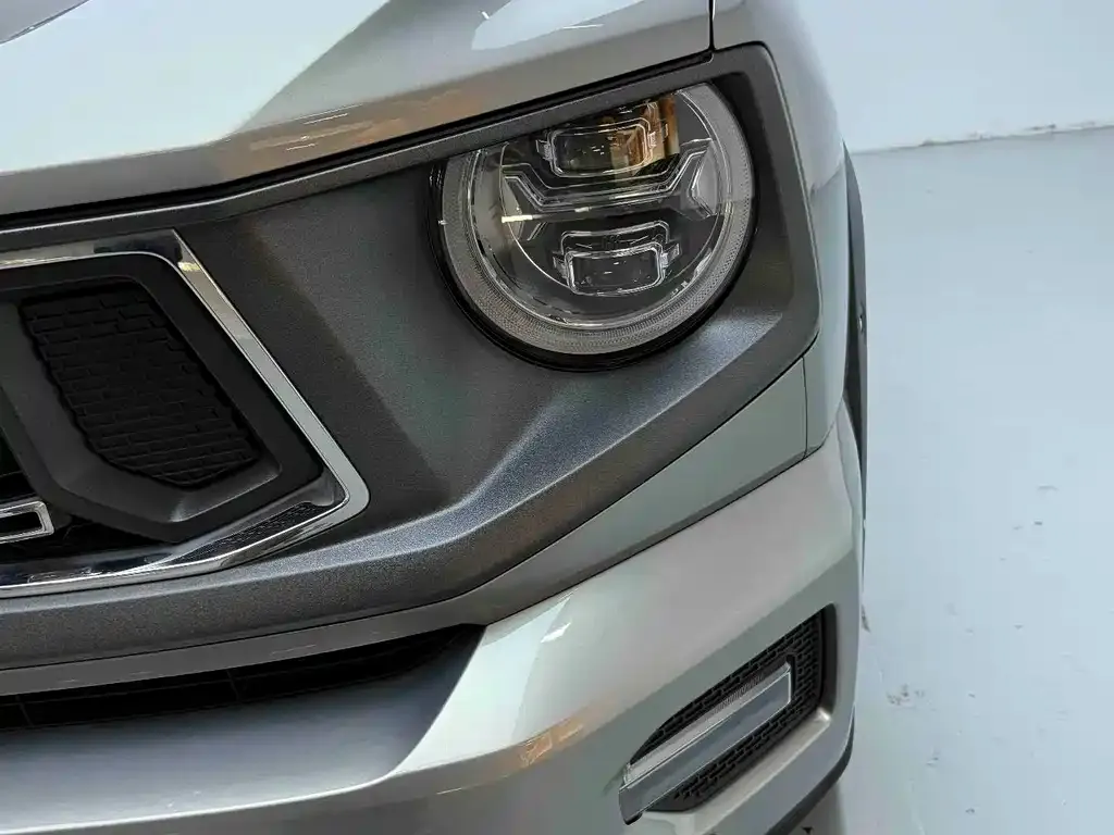 Haval Big Dog PLUS New Energy — фото 4