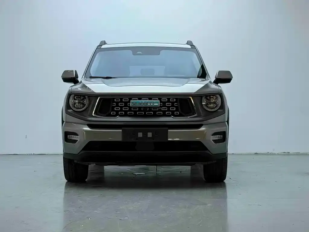 Haval Big Dog PLUS New Energy — фото 3